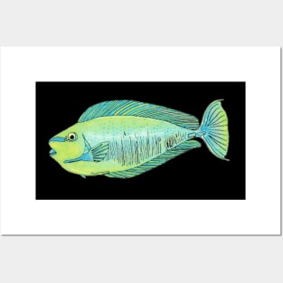 Unicornfish Posters and Art